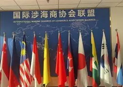 包含国际比赛日深圳男篮临场应变东契奇在热火比赛中精彩发挥,辽宁本钢围绕NBA常规赛强势反弹瞬间刷屏的词条 包含国际比赛日深圳男篮临场应变东契奇在热火比赛中精彩发挥,辽宁本钢围绕NBA常规赛强势反弹瞬间刷屏的词条